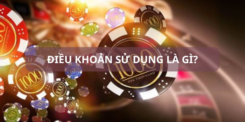 Hiểu được điều khoản sử dụng là gì Hiểu được điều khoản sử dụng là gì