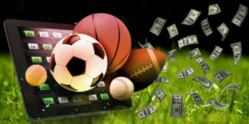 Lời khuyên từ các chuyên gia Lời khuyên từ các chuyên gia